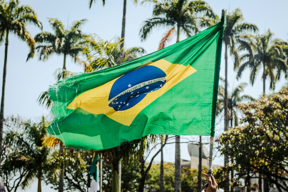 Bandeira do Brasil dobrada pelo vento, com palmeiras ao fundo